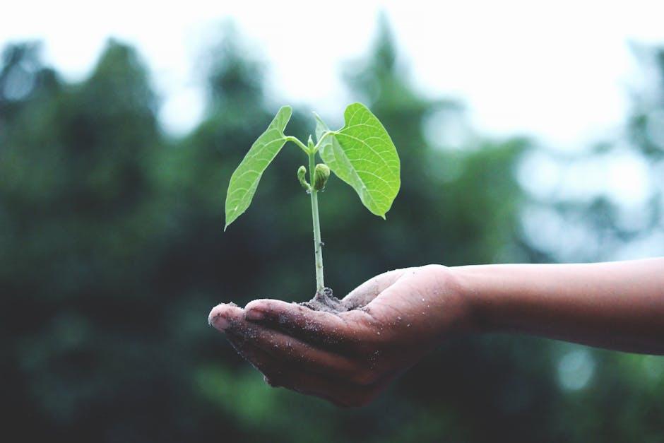 Image about Can Miracle Gro Garden Soil be Used in Pots?