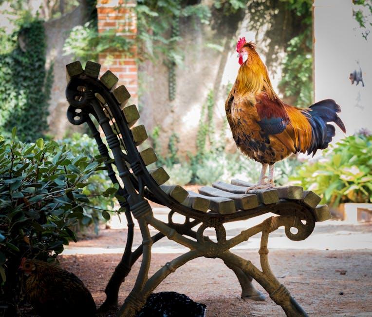 Image about 8 Effective Strategies to Keep Chickens Out of Your Garden