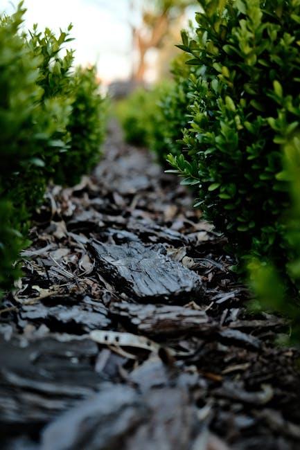 Image for Ultimate Guide to Using Pine Shavings in Your Garden for Improved Soil Quality