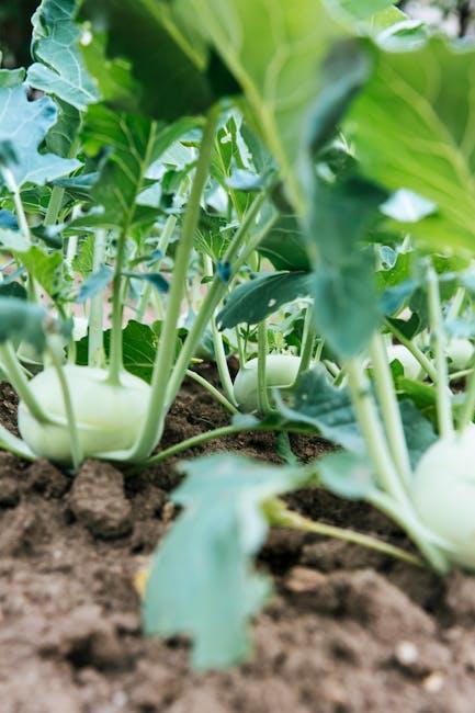 Image for The Ultimate Guide to Stand Up Planters for Vegetables