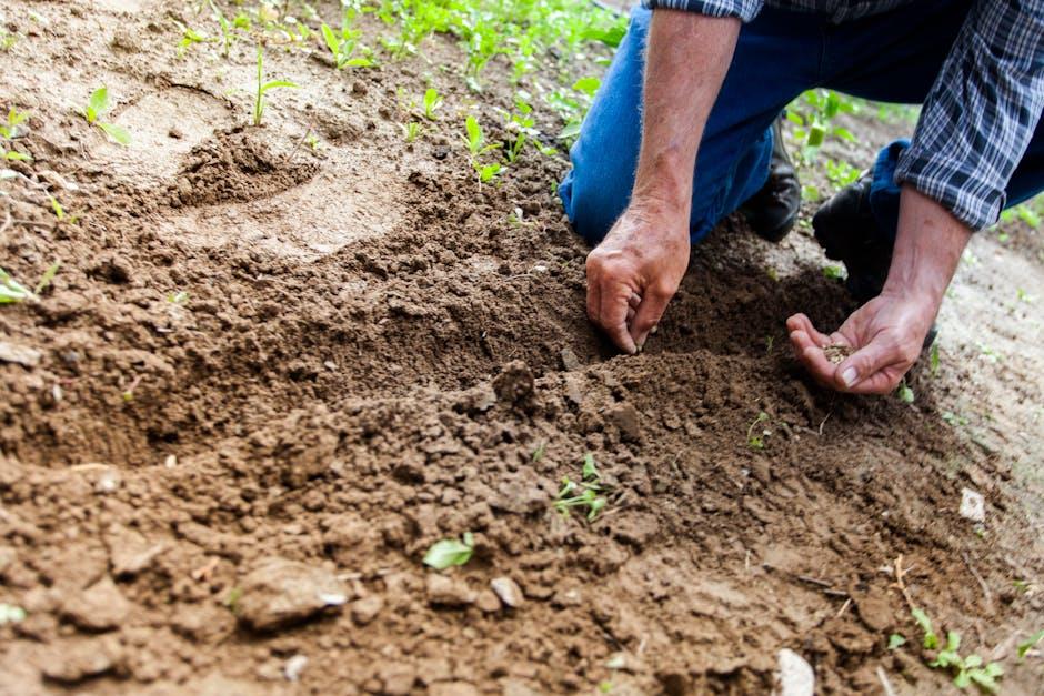 Image about Preparing Your Vegetable Garden Bed: A Step-by-Step Guide