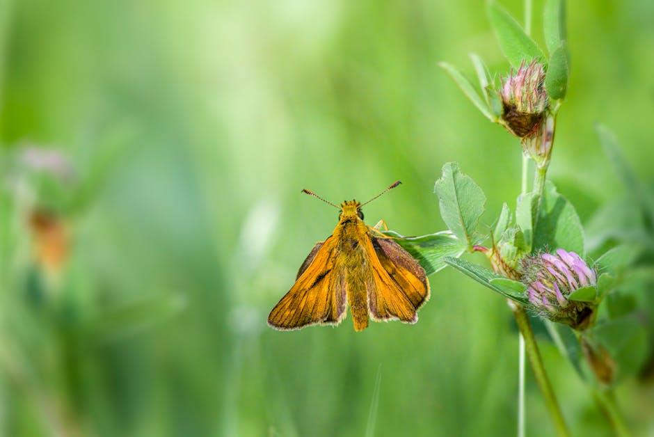 Effective Methods to Get Rid of White Moths in Your Garden