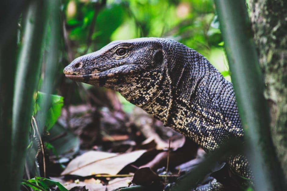 Image about Do Garden Lizards Bite? Understanding Their Behavior and Prevention Techniques