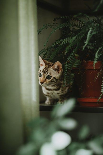 Effective Strategies to Keep Cats Away from Your Yard