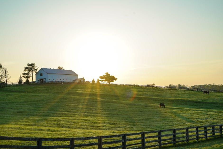 Image about When to Plant Beets in Kentucky: A Comprehensive Guide