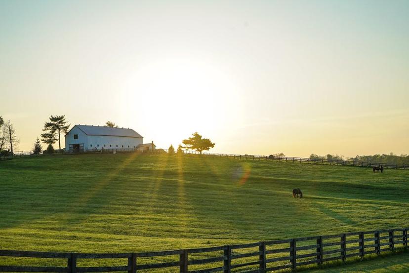 When to Plant Beets in Kentucky: A Comprehensive Guide