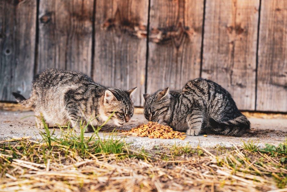 Image about The Ultimate Guide to Keeping Cats Away: Effective Deterrents for Your Home and Garden