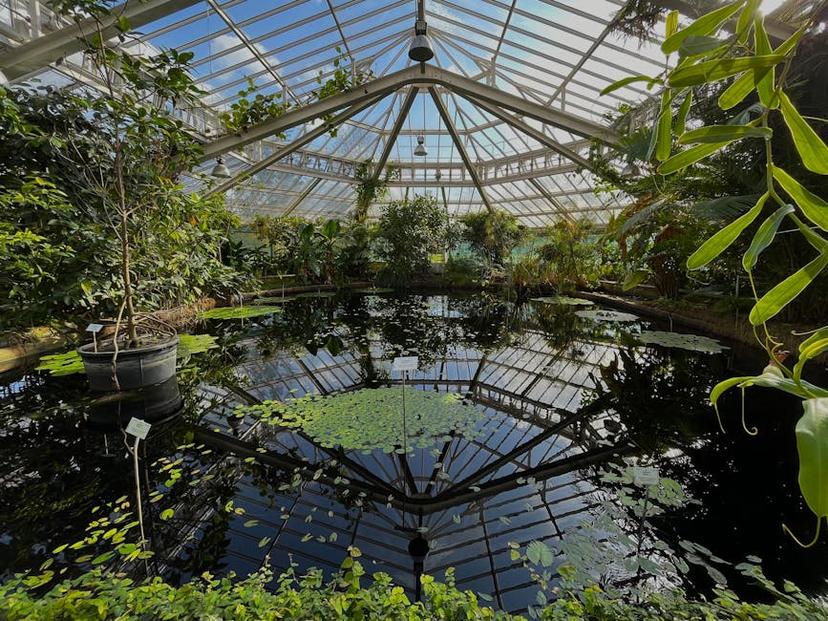 Exploring Vancouver's May Chun Garden: History, Features, and Events