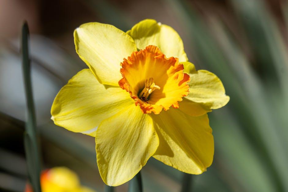 Image for Exploring the World of Flower Gardens: What Do You Call a Garden of Flowers?