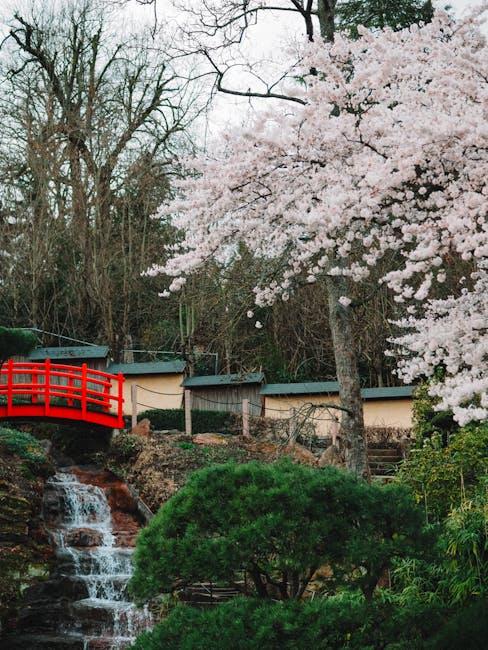 Spring Gardening in Texas: The Optimal Time to Plant