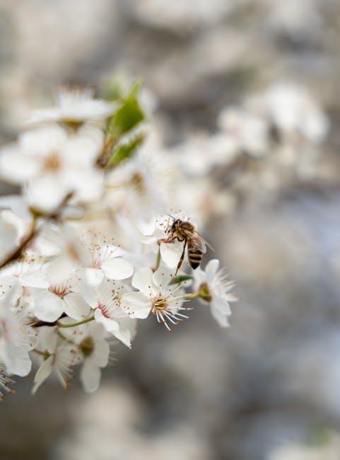 Image for How to Create a Bee-Friendly Garden: Tips for Attracting and Supporting Bees