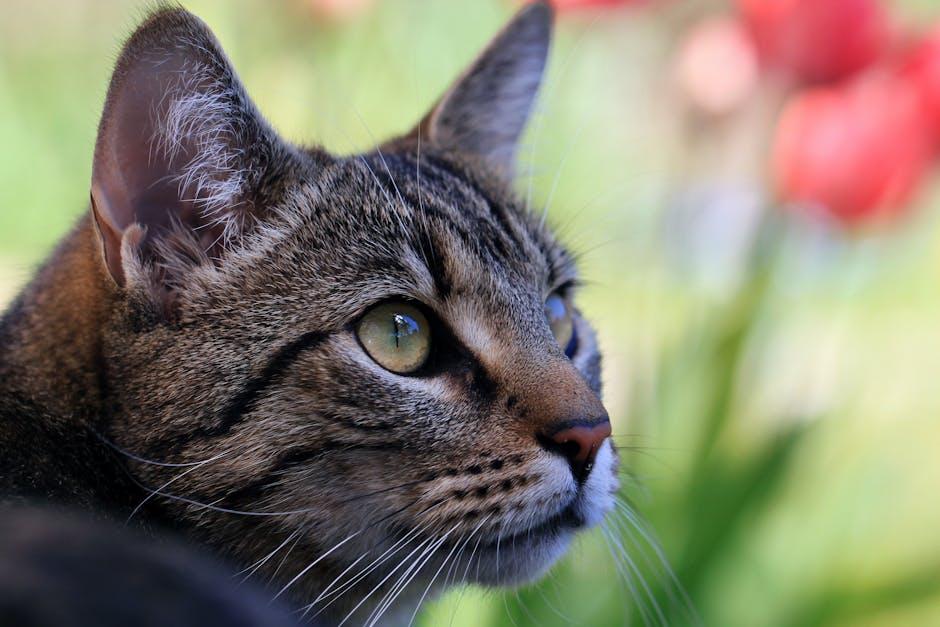 Image about Ultimate Guide to Cat Repellents: Natural vs. Commercial Options