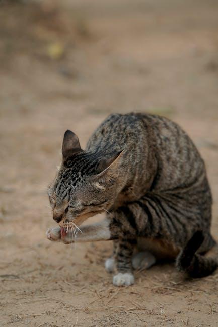 Image for Do Cats Like the Smell of Bleach? Understanding Feline Reactions to Household Cleaners