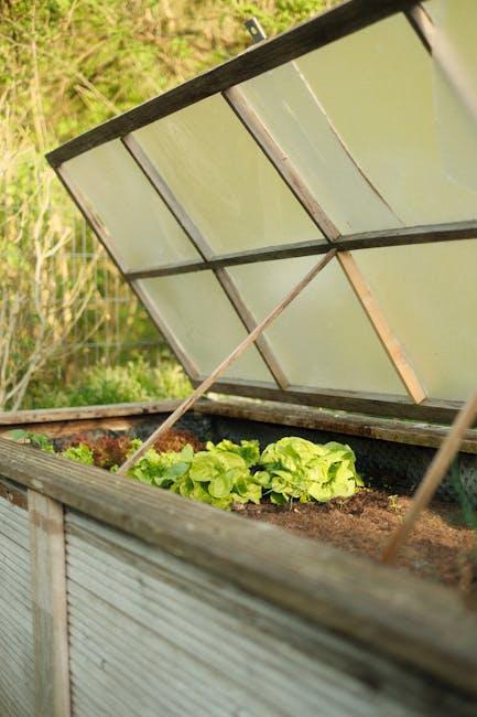 The Ultimate Guide to Raised Garden Beds with Lids