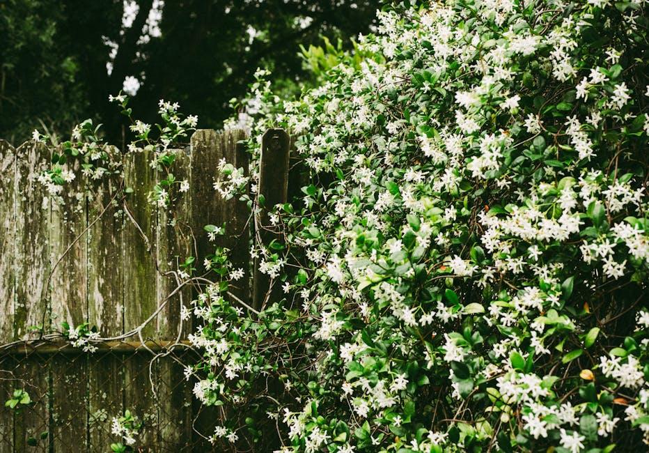 May Lindstrom Jasmine Garden: A Comprehensive Review