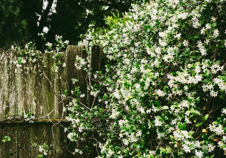 Image for May Lindstrom Jasmine Garden: A Comprehensive Review