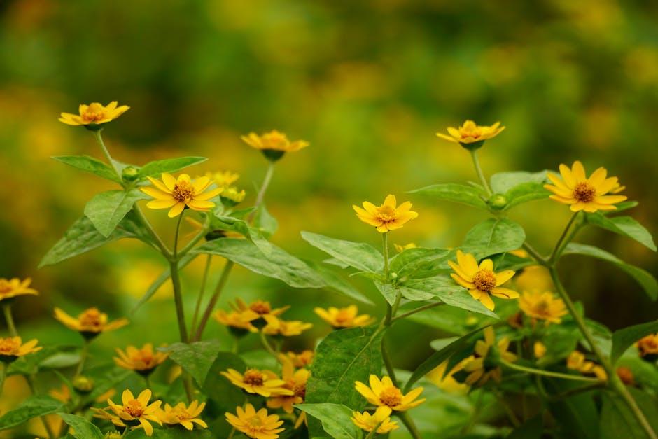 Image for Unveiling the Magic: Exploring 'The Secret Garden' Movie