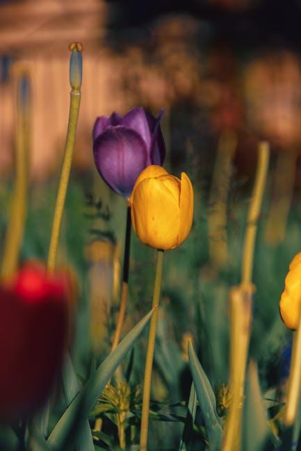 Image for Capturing the Beauty: A Guide to Describing a Beautiful Garden