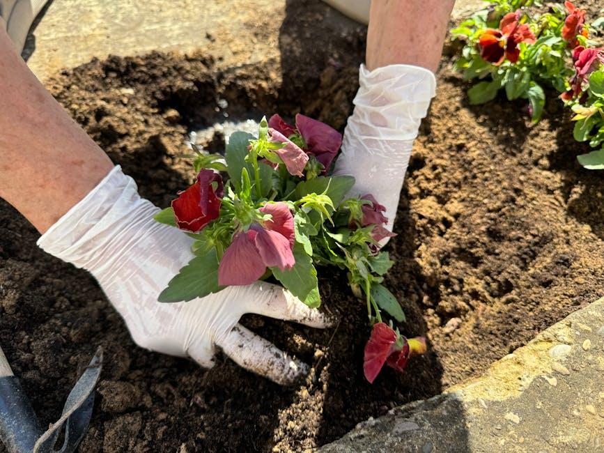 Image about Can I Use Miracle-Gro Garden Soil in Pots? Benefits and Considerations