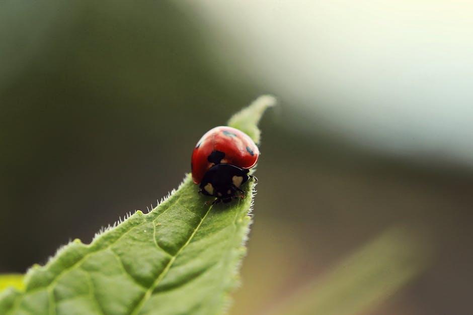 Image about Ultimate Guide to Managing Asiatic Garden Beetles in Gardens and Agriculture