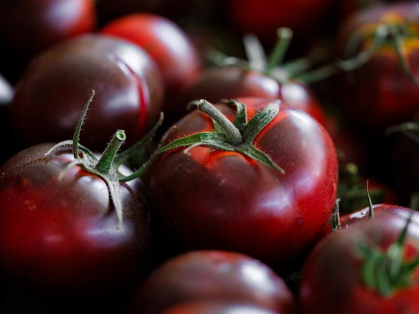 The Ultimate Guide to Low-Maintenance Plants for Easy Indoor and Outdoor Gardening