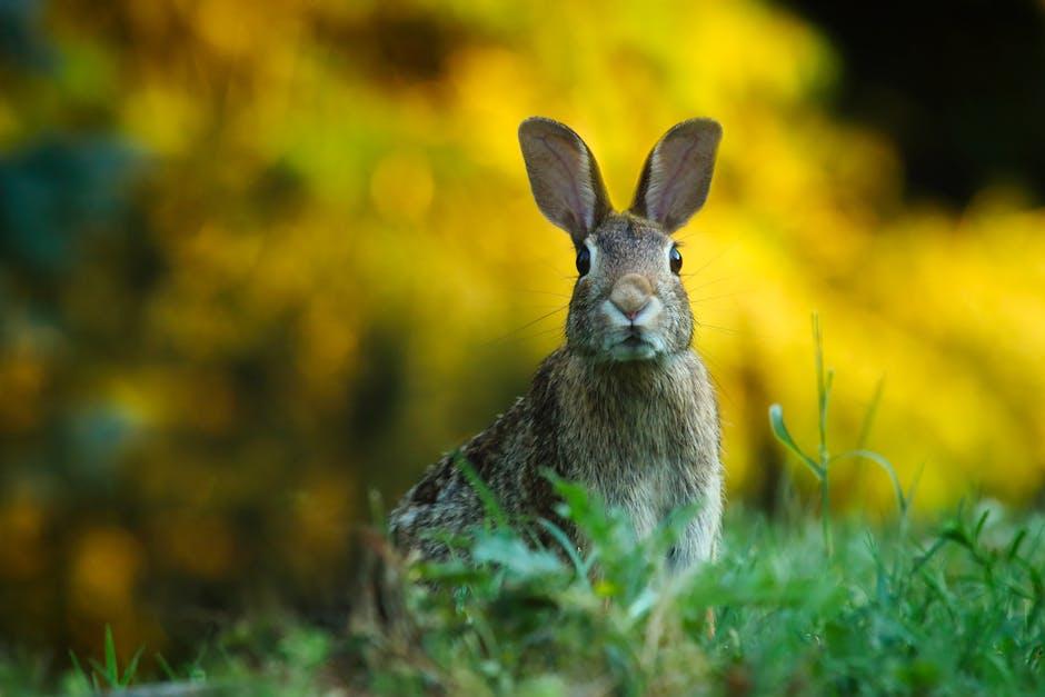 Image about Do Rabbits Eat Basil? Understanding Rabbit Behavior and Garden Protection