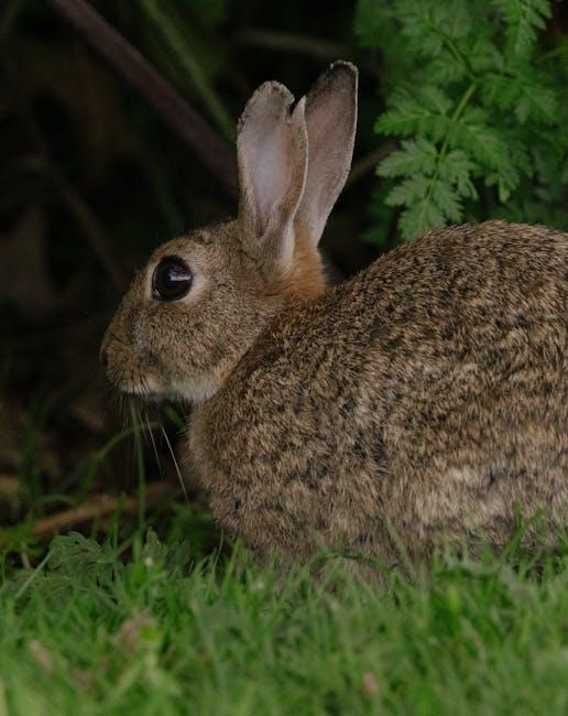 Do Rabbits Eat Onion Tops? Understanding the Risks and Benefits