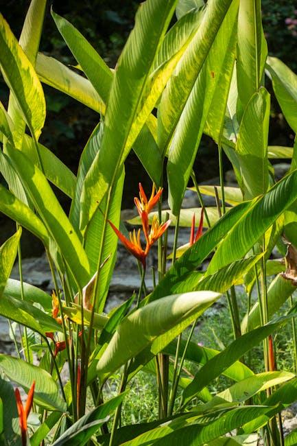 Image for What to Wear to Botanical Gardens: A Guide to Comfortable and Stylish Attire