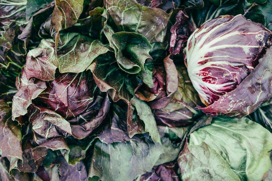 Landscaping with Vegetables: A Guide to Creating a Beautiful and Functional Outdoor Space