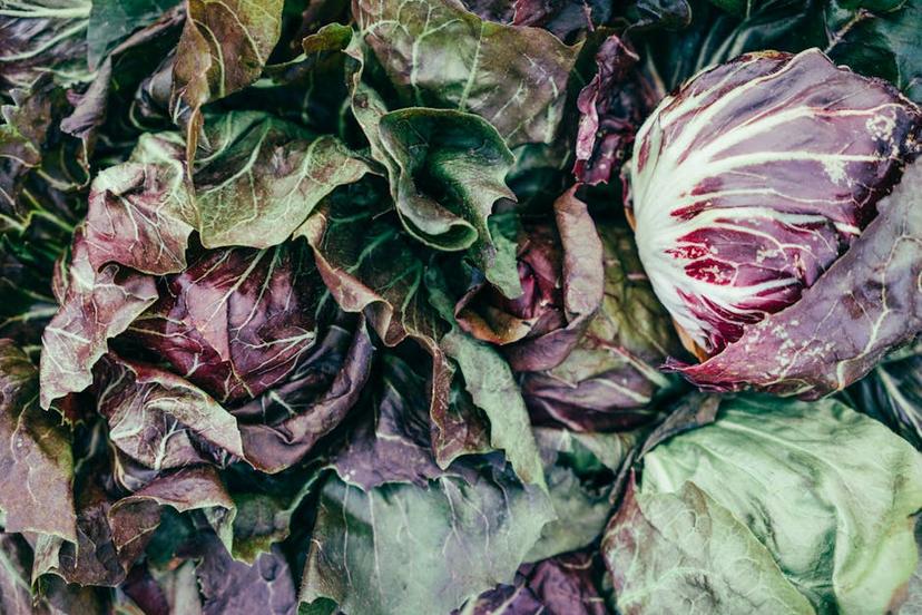 How to Create a Successful Vegetable Plan: A Beginner's Guide