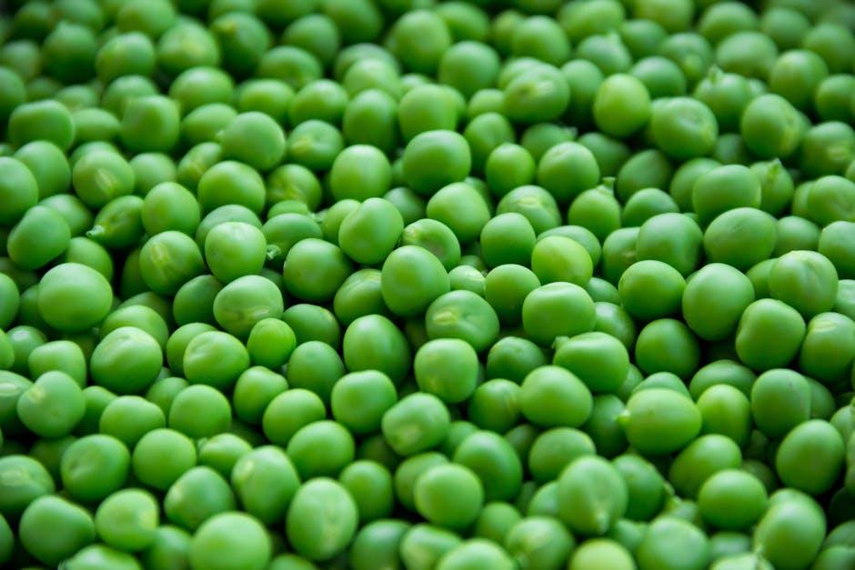 Image about Cooking Fresh Peas from Your Garden: A Step-by-Step Guide