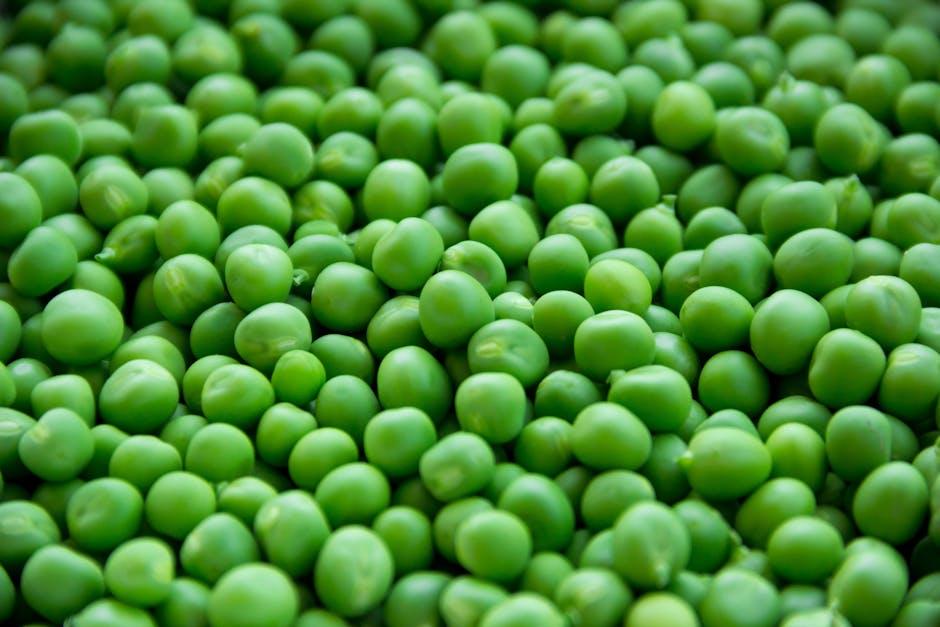 image about Cooking Fresh Peas from Your Garden: A Step-by-Step Guide