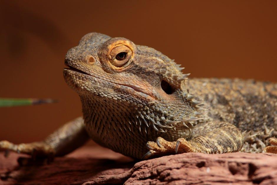 Image about Unlocking the Mysteries of Lizard Life Spans: Factors and Longevity