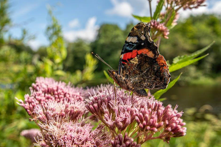 Image about Protect Your Garden: How to Keep Chickens Out of Flower Beds