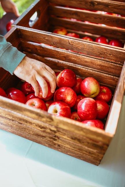 Image about Building and Planting in Wood Garden Boxes: Tips for Durability and Longevity