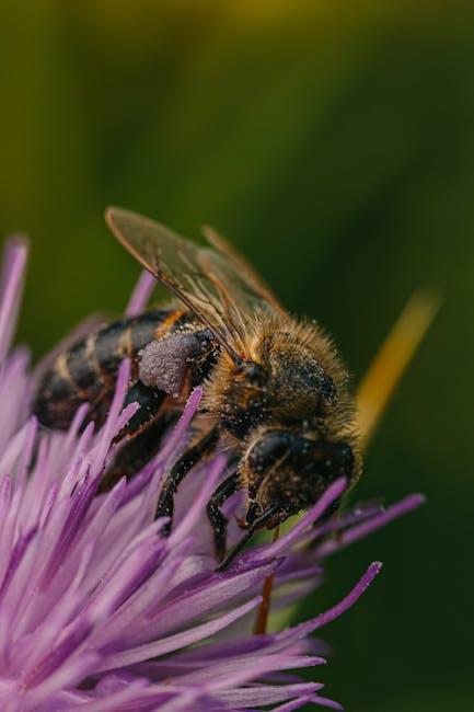 image about Creating a Garden for the Endangered Rusty-Patched Bumblebee