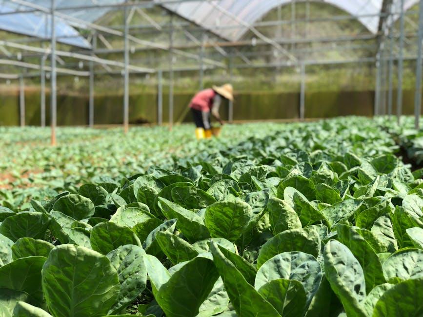 Image for Maximizing Your Vegetable Garden: Importance of Proper Vegetable Placement