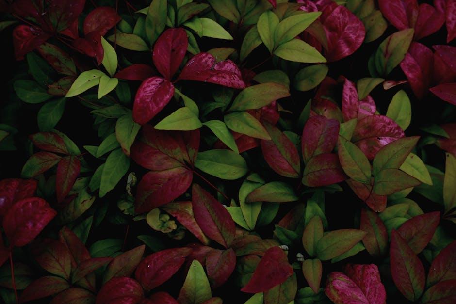 Describing a Garden: Tips and Tricks for Creating a Vivid Picture