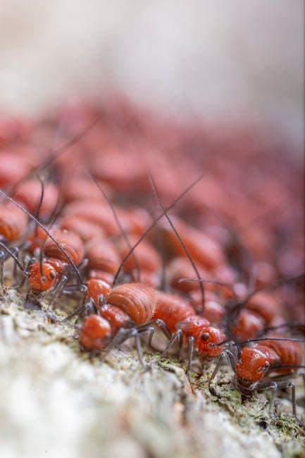 Image for The Ultimate Guide to Dealing with Termites in Your Garden