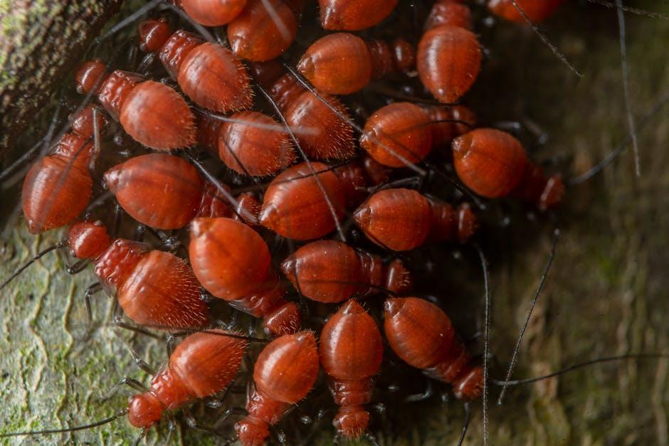 Image about Ultimate Guide to Asiatic Garden Beetle: Behavior, Identification, and Control Methods