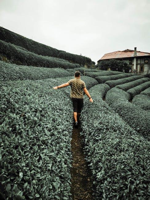 Image about Understanding the Climate Zones of Kansas: A Guide for Gardeners and Farmers