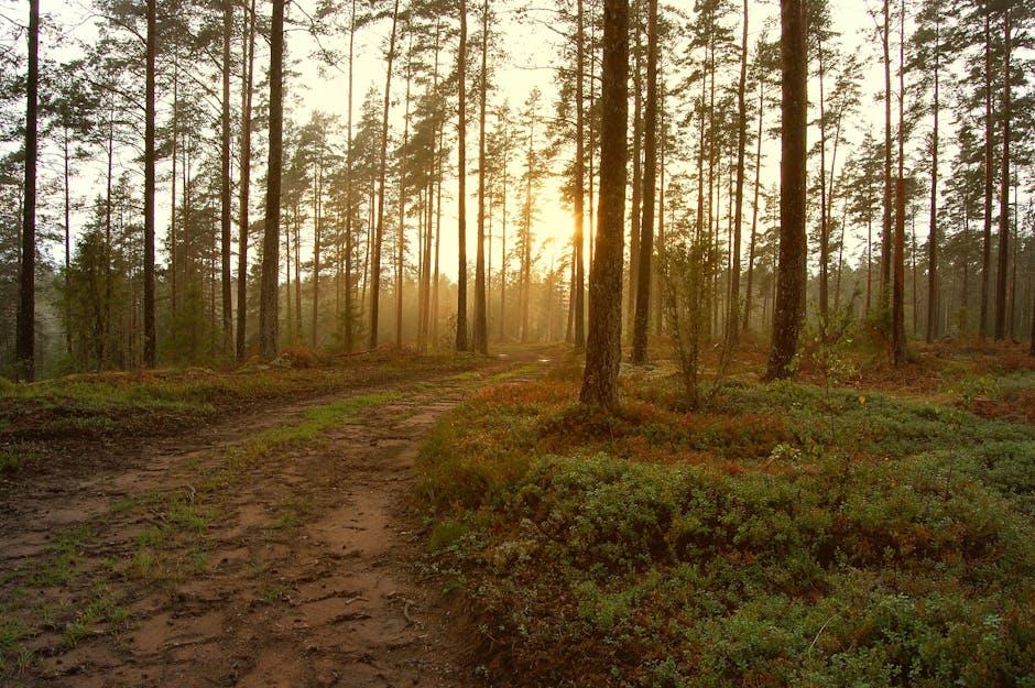 Image about The Ultimate Guide to Using Pine Shavings as Mulch for Your Garden