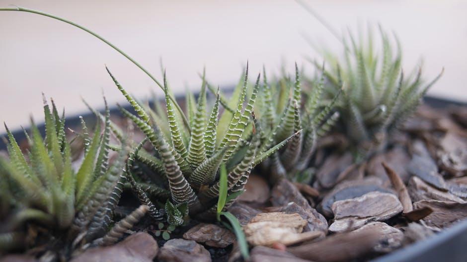 Image for The Benefits and Drawbacks of Using Pine Shavings as Garden Mulch