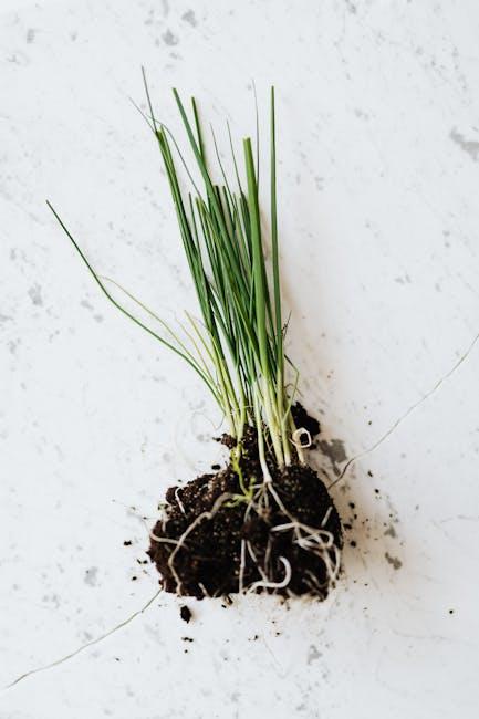 image about Can Rabbits Eat Chives? Nutritional Value, Risks, and Alternatives
