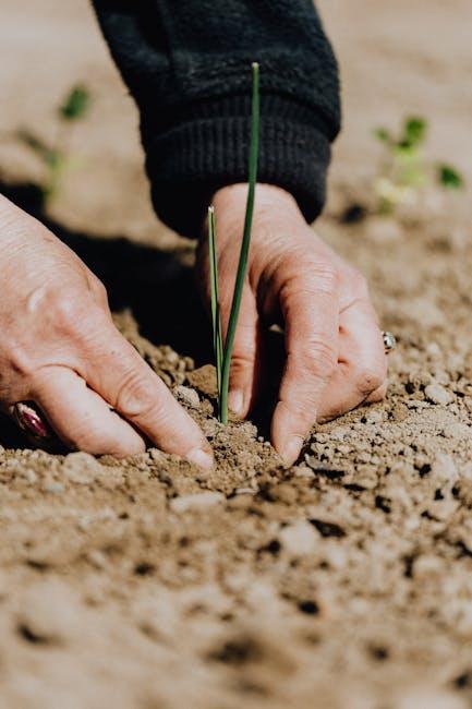 When and How to Replace Your Garden Soil: A Guide