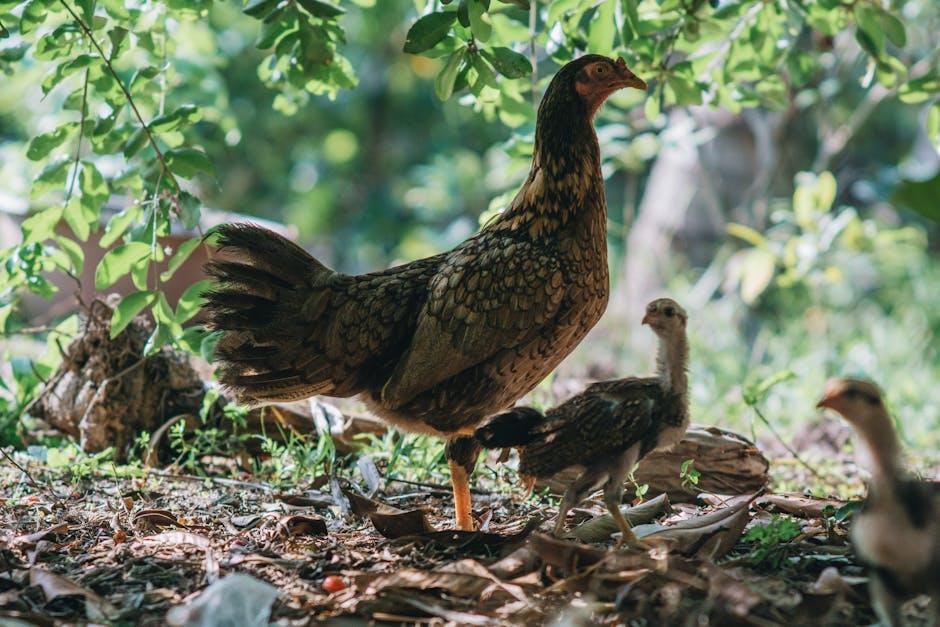 Image about What Chickens Can Eat from the Garden: A Guide to Feeding Your Flock