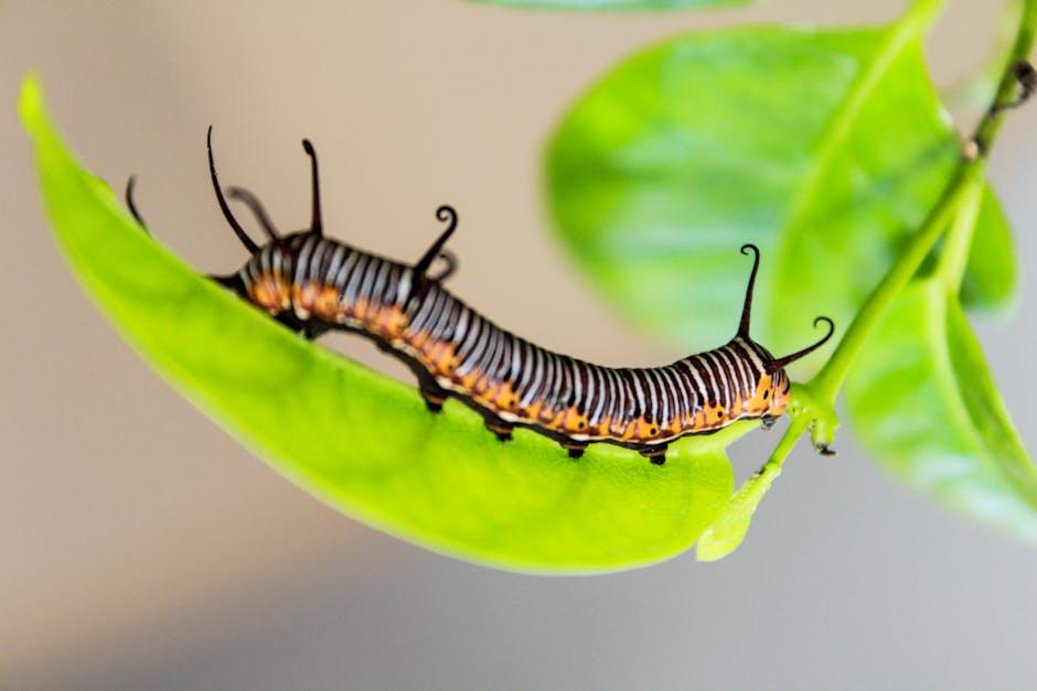 Image about The Ultimate Guide to Using Worms in Your Garden: Benefits and Considerations