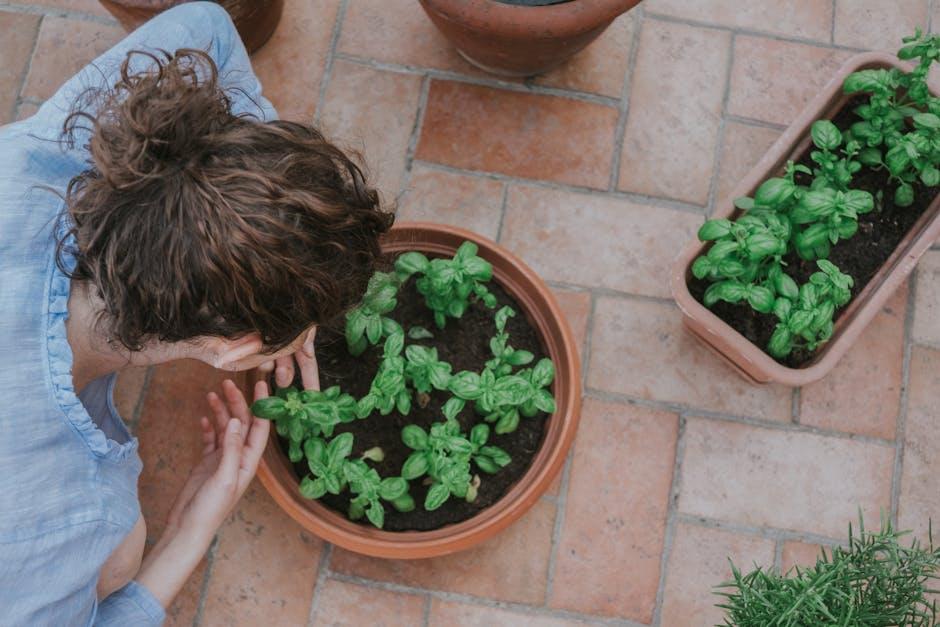 Image about Building Raised Patio Planters: A Step-by-Step Guide