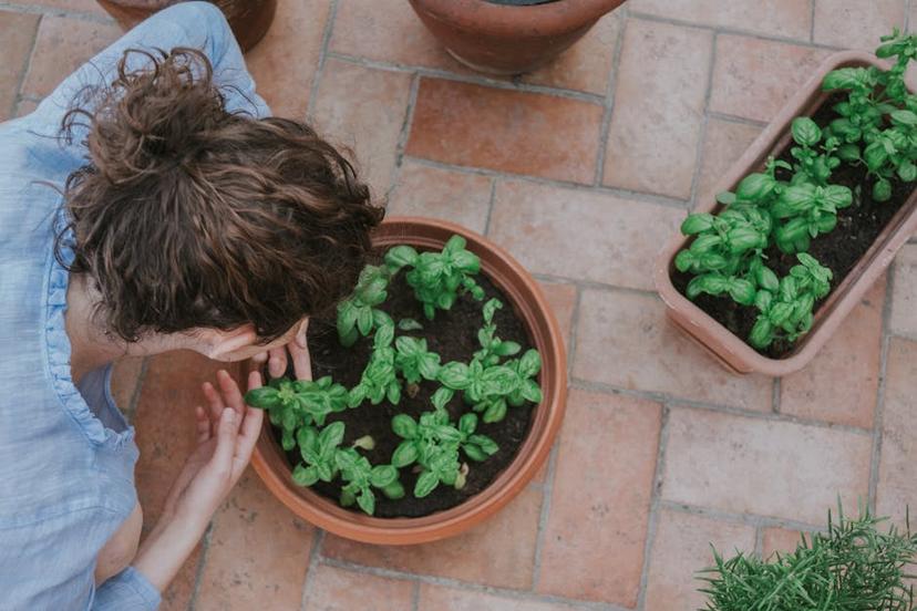 Building Raised Patio Planters: A Step-by-Step Guide