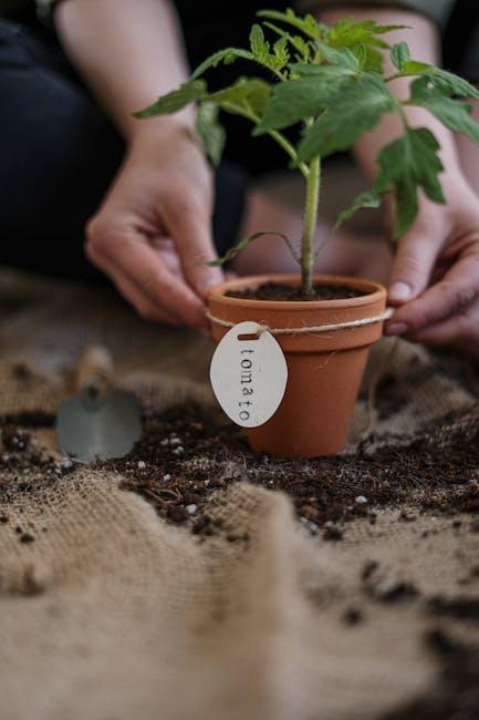 Image for Best Time to Plant a Garden in Iowa: A Comprehensive Guide